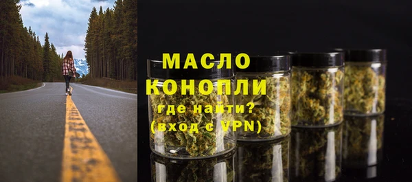 сатива Бородино