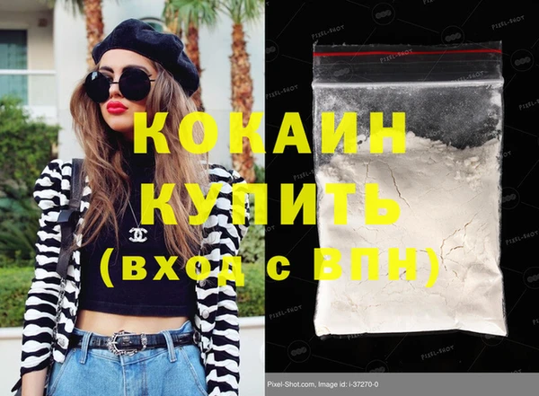 дмт Пересвет
